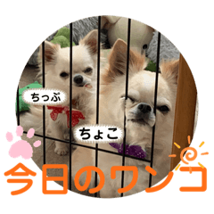 rina_20210515103918