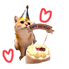 萊恩寶寶の日常