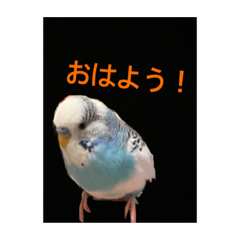 Daiki Saito_20210514211714