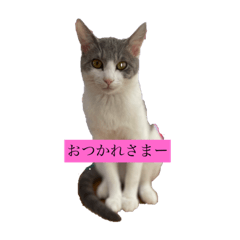 saya_20210514231413