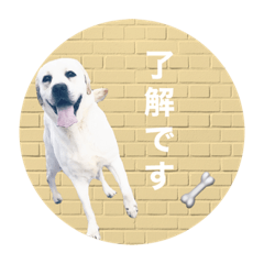 linco_20210514191302