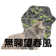 動物記趣