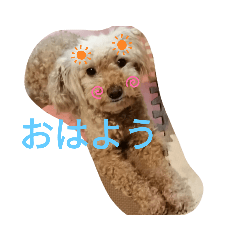 miyoko_20210515140344