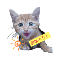 yuka_20210515104742