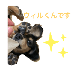 mitsuki_20210515120924