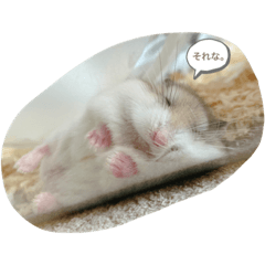 omochi_20210515135836