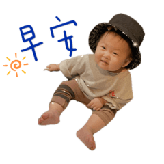 菲寶的日常生活