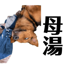 陳熊熊出乃玩～