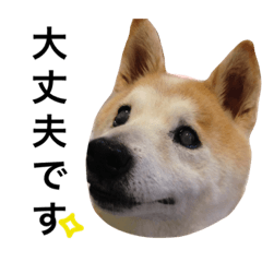 Shiba Kotaro