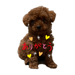 Yamada_20210515055443