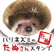 tanu's_hedgehog
