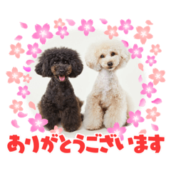 Michiko_20210515205059