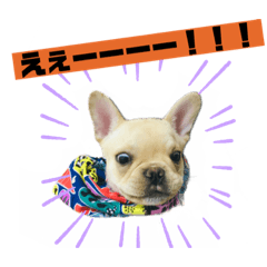 suzu_20210515213602