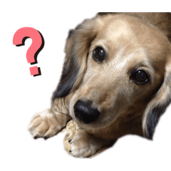 arisa_20210515222734