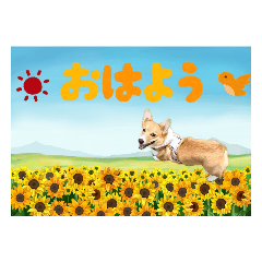 yukari_20210516080133