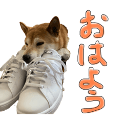 momoko_20210515200931