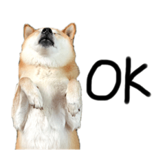 momoko_20210515205314