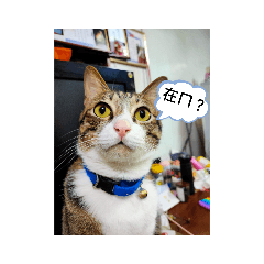 小可愛自創貼圖