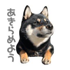 hana_20210515223453