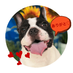 kaori_20210515230459