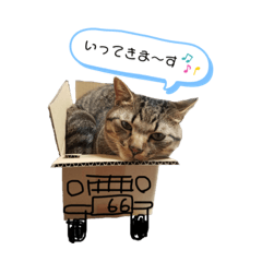 MIKI_20210516000825