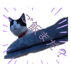 nanami_20210516000300