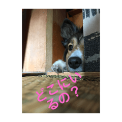 Yuto0514