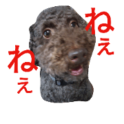 DOG CHA-CHA