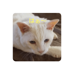ken_20210516125447