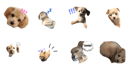 HARU_KUN