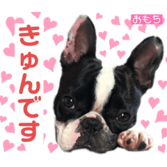 Omochi_20210516073415