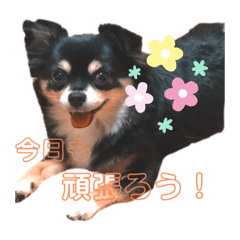aoi_20210516100004