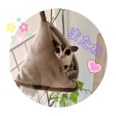titi_20210516111930