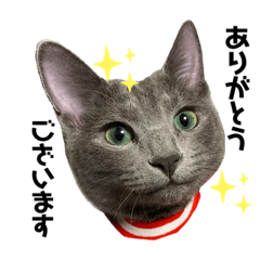 nozomi_20210516133831