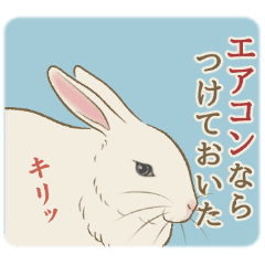 夏を乗り切るうさぎたち Line スタンプ Line Store 夏を乗り切るうさぎたち Line スタンプ Line Store