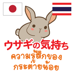 Feeling Of Rabbit Thai&Japanese