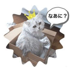 yukari_20210516154712