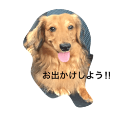 wannyan's