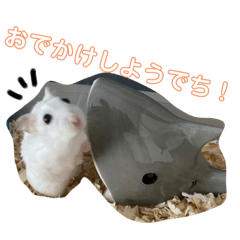 omochi_20210516180845