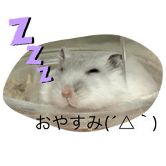 Haruna_20210516165530