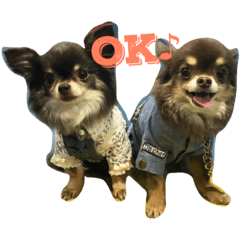 わんこすたんぷpart1