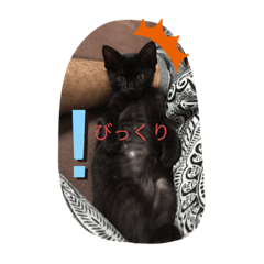 suzuha_20210516132745