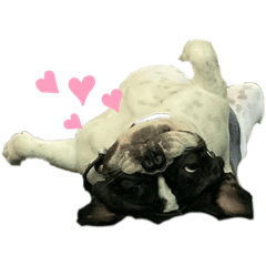 Chris_20210516112431