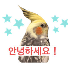 Sammy_20210516205912