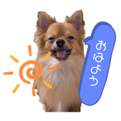 kuu_20210516210245