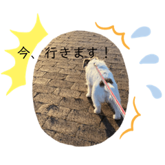 s.s_20210516222700