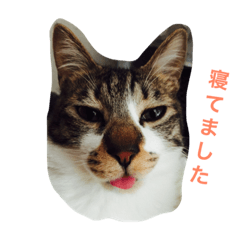 TAIchan no mattari stamp