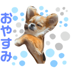 Mizuki_20210516181912