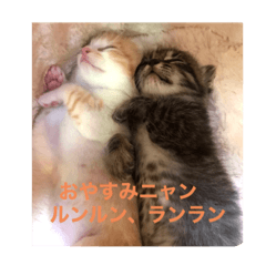 kayo_20210516180411