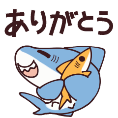 Animated! Yurukawa shark